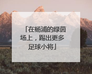 在杨浦的绿茵场上，踢出更多足球小将