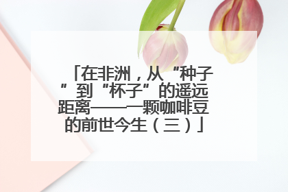 在非洲，从“种子”到“杯子”的遥远距离——一颗咖啡豆的前世今生（三）