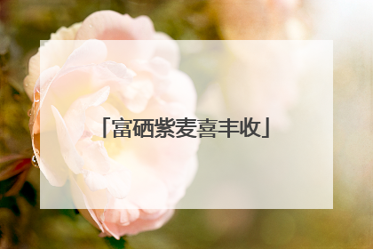 富硒紫麦喜丰收