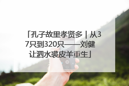孔子故里孝贤多｜从37只到320只——刘健让泗水裘皮羊重生