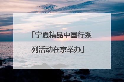 宁夏精品中国行系列活动在京举办