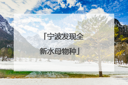 宁波发现全新水母物种