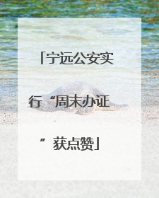 宁远公安实行“周末办证”获点赞