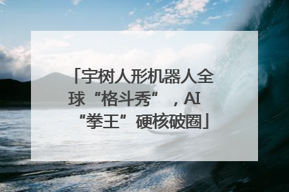 宇树人形机器人全球“格斗秀”，AI“拳王”硬核破圈