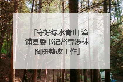 守好绿水青山 漳浦县委书记督导涉林图斑整改工作
