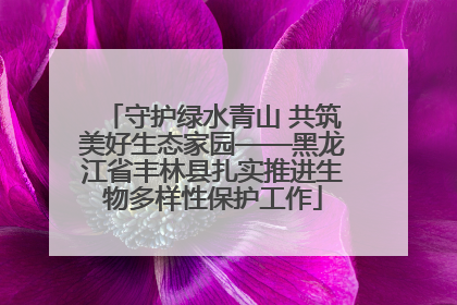 守护绿水青山 共筑美好生态家园——黑龙江省丰林县扎实推进生物多样性保护工作