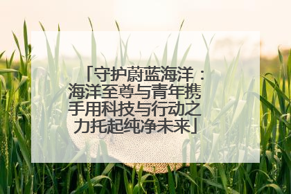 守护蔚蓝海洋：海洋至尊与青年携手用科技与行动之力托起纯净未来