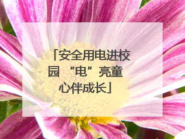 安全用电进校园 “电”亮童心伴成长