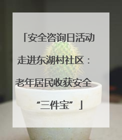 安全咨询日活动走进东湖村社区：老年居民收获安全“三件宝”