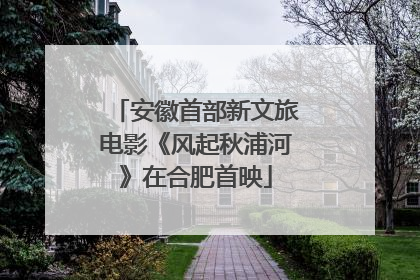 安徽首部新文旅电影《风起秋浦河》在合肥首映