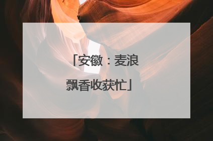 安徽：麦浪飘香收获忙