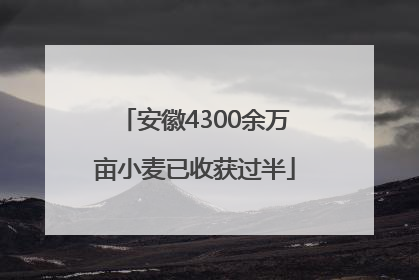 安徽4300余万亩小麦已收获过半