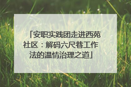 安职实践团走进西苑社区：解码六尺巷工作法的温情治理之道
