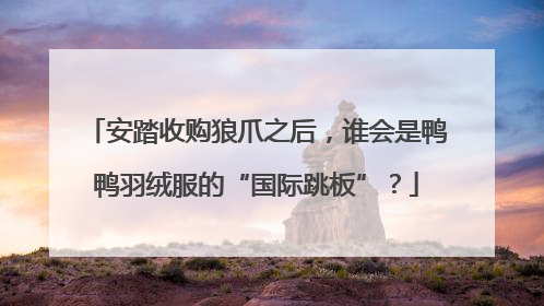 安踏收购狼爪之后，谁会是鸭鸭羽绒服的“国际跳板”？