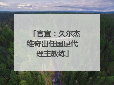 官宣：久尔杰维奇出任国足代理主教练