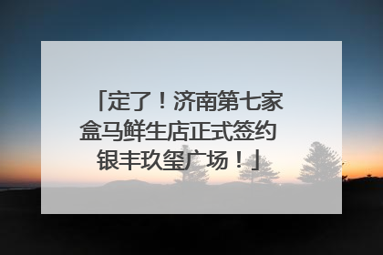 定了！济南第七家盒马鲜生店正式签约银丰玖玺广场！