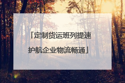 定制货运班列提速 护航企业物流畅通