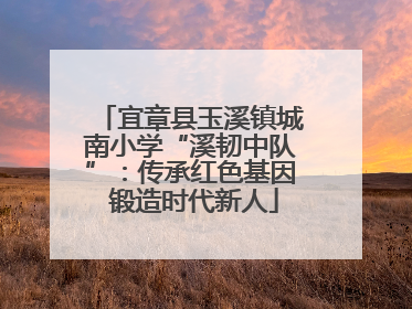 宜章县玉溪镇城南小学“溪韧中队”：传承红色基因 锻造时代新人