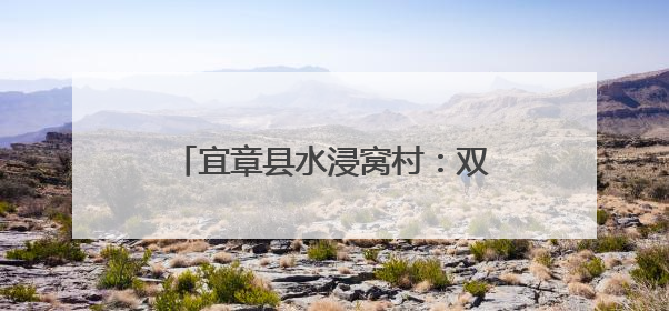 宜章县水浸窝村：双物流按下“加速键” 杨梅锁住“枝头鲜”