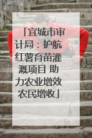 宜城市审计局：护航红薯育苗灌溉项目 助力农业增效农民增收