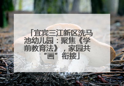 宜宾三江新区洗马池幼儿园：聚焦《学前教育法》，家园共“画”衔接