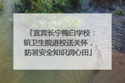 宜宾长宁梅白学校：镇卫生院进校送关怀，防暑安全知识润心田