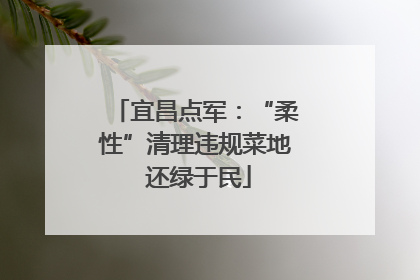 宜昌点军：“柔性”清理违规菜地 还绿于民