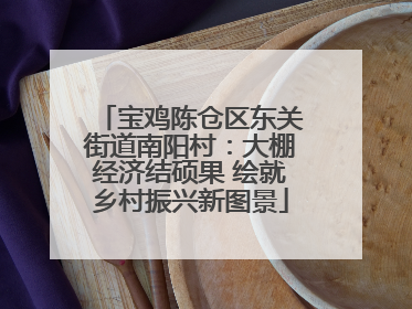 宝鸡陈仓区东关街道南阳村：大棚经济结硕果 绘就乡村振兴新图景