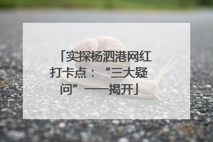 实探杨泗港网红打卡点：“三大疑问”一一揭开