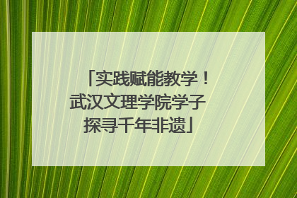 实践赋能教学！武汉文理学院学子探寻千年非遗