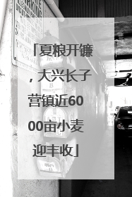 夏粮开镰，大兴长子营镇近6000亩小麦迎丰收