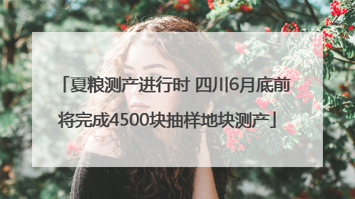 夏粮测产进行时 四川6月底前将完成4500块抽样地块测产