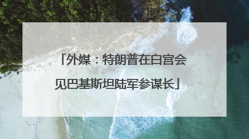 外媒：特朗普在白宫会见巴基斯坦陆军参谋长