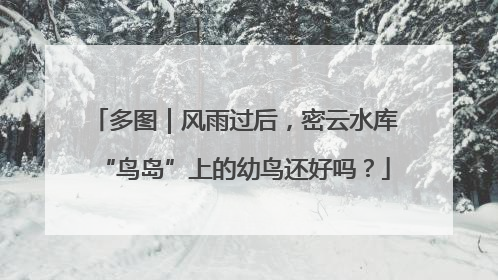 多图｜风雨过后，密云水库“鸟岛”上的幼鸟还好吗？