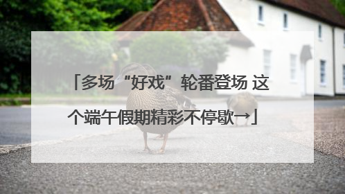 多场“好戏”轮番登场 这个端午假期精彩不停歇→