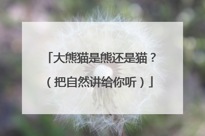 大熊猫是熊还是猫？（把自然讲给你听）