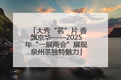 大秀“茗”片 香飘京华——2025年“一展两会”展现泉州茶独特魅力