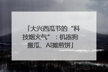 大兴西瓜节的“科技烟火气”：机器狗搬瓜、AI摊煎饼