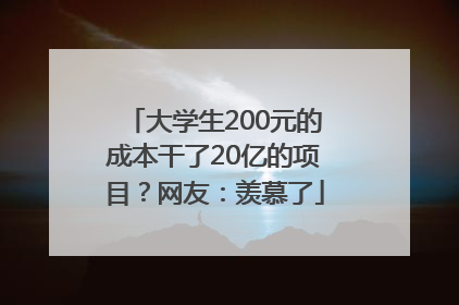 大学生200元的成本干了20亿的项目？网友：羡慕了