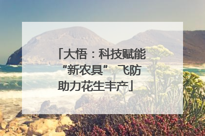 大悟：科技赋能“新农具” 飞防助力花生丰产