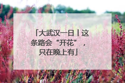 大武汉一日丨这条路会“开花”，只在晚上有