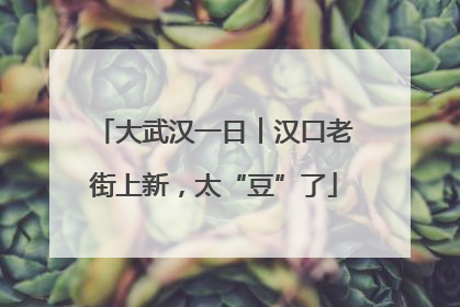 大武汉一日︱汉口老街上新，太“豆”了
