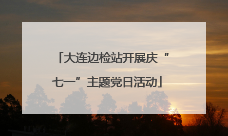 大连边检站开展庆“七一”主题党日活动