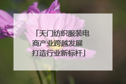 天门纺织服装电商产业跨越发展 打造行业新标杆