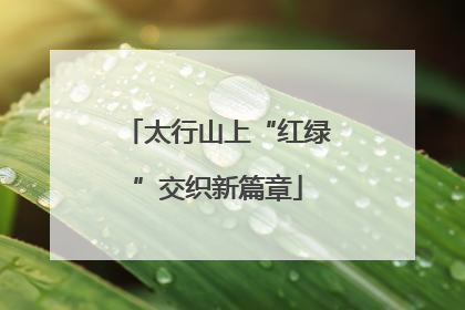太行山上“红绿”交织新篇章