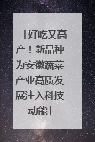 好吃又高产！新品种为安徽蔬菜产业高质发展注入科技动能