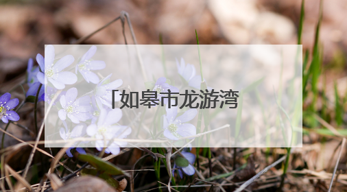 如皋市龙游湾路荣获全国最具人气的路