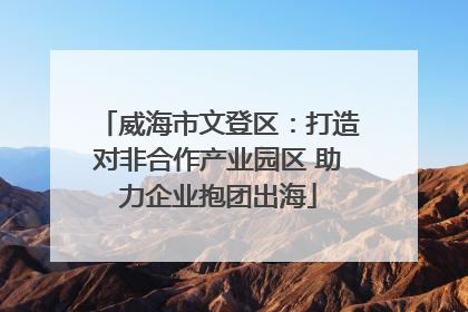 威海市文登区：打造对非合作产业园区 助力企业抱团出海