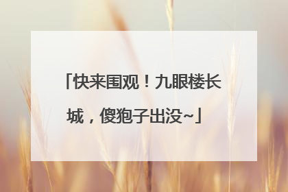 快来围观！九眼楼长城，傻狍子出没~