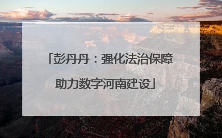 彭丹丹：强化法治保障 助力数字河南建设